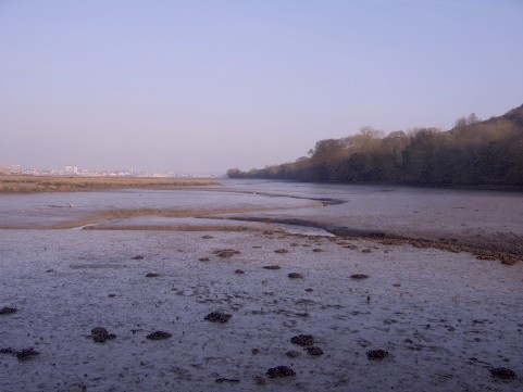 Photograph of extensive mud flats at low tide