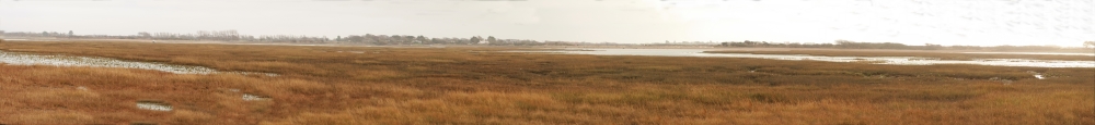 Geography Site Coasts Salt Marsh