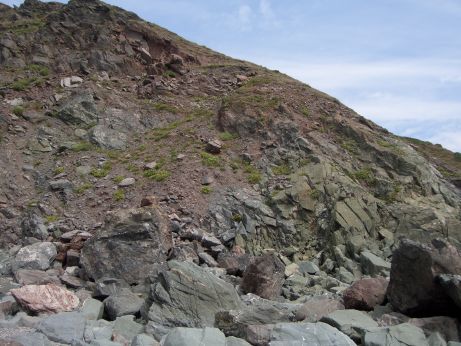View of a gently sloping cliff formed from hard but very fractured and broken rock